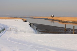 KvdS nw. statenzijl in de winter  (2)